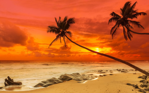 1076526 (a): :2880x1800